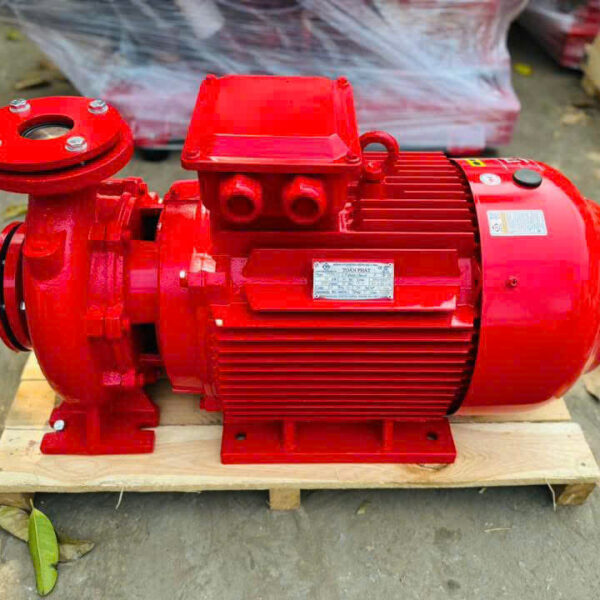 Alternative view of Máy bơm ly tâm trục ngang đầu liền VNPY HL(R)65-250/37 37kW