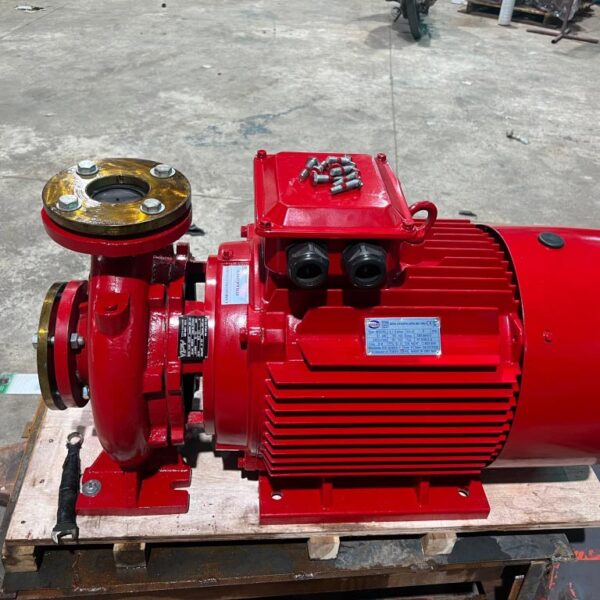 Alternative view of Máy bơm ly tâm trục ngang đầu liền VNPY HL(R)65-250/37 37kW