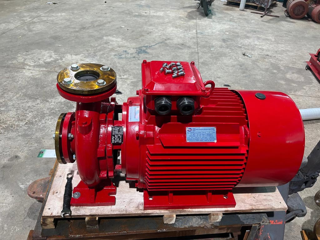 Máy bơm ly tâm trục ngang đầu liền VNPY HL(R)65-250/37 37kW - Ảnh 2