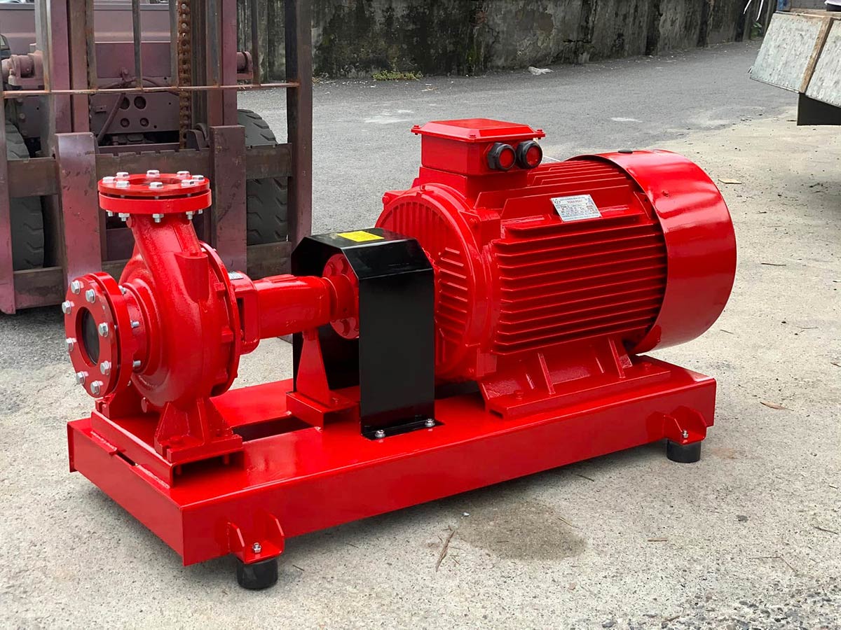 Máy bơm chữa cháy VNPY động cơ điện trục rời HLR100-250/90 90kW