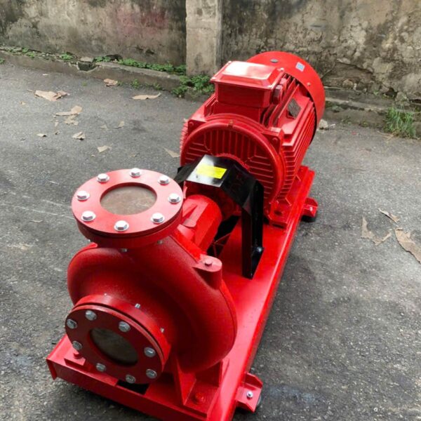 Máy bơm chữa cháy VNPY động cơ điện trục rời HLR125-315/160 - Ảnh 3
